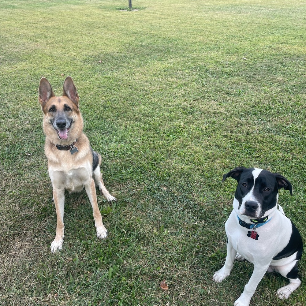 Meet your Posher, Emma